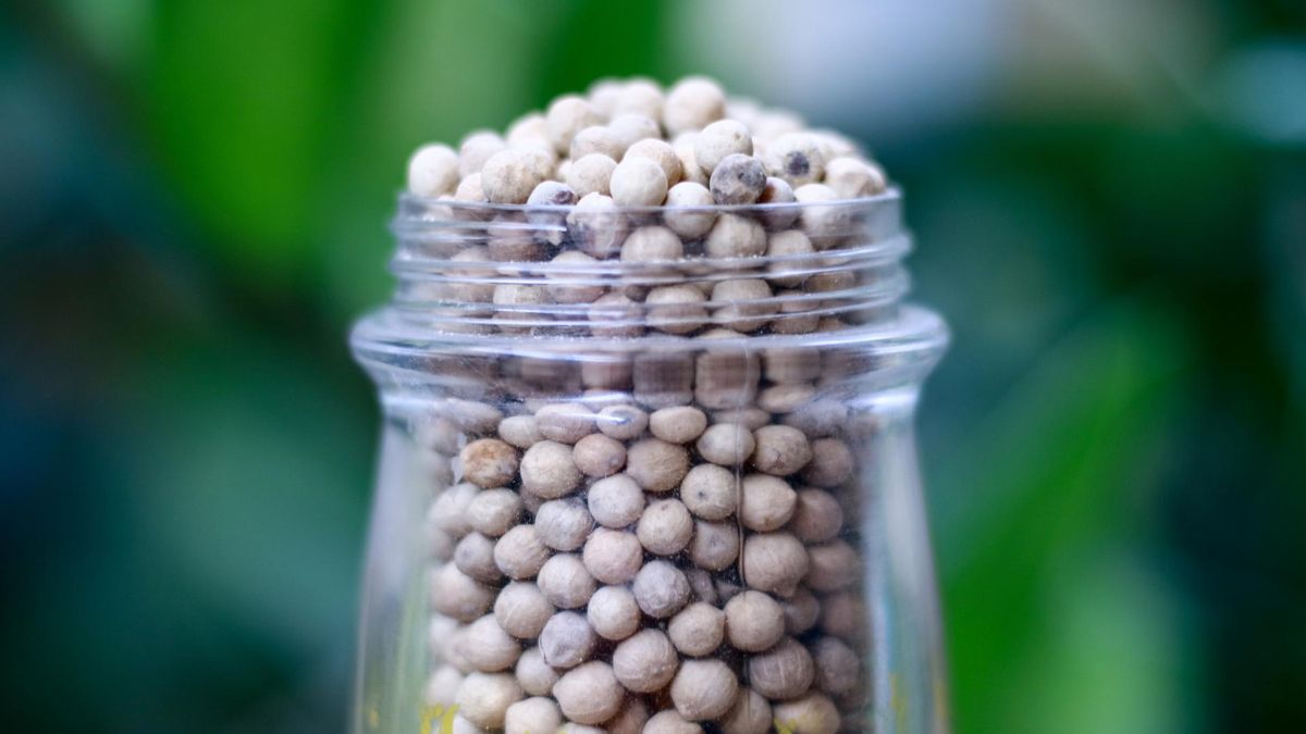 Piperyna obecna w pieprzu usprawnia funkcjonowanie jelit