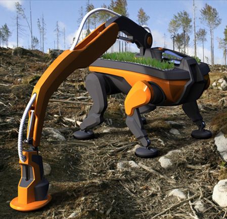 Roboty do sadzenia lasu - konkurencja dla tych, co trzebią
