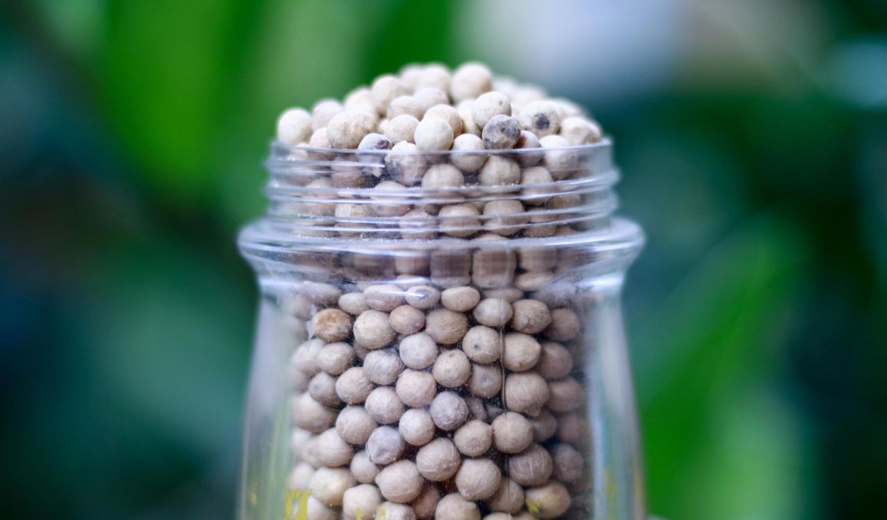 Na raka i jako wsparcie dla mózgu. Jedz, a jelita też będą ci wdzięczne