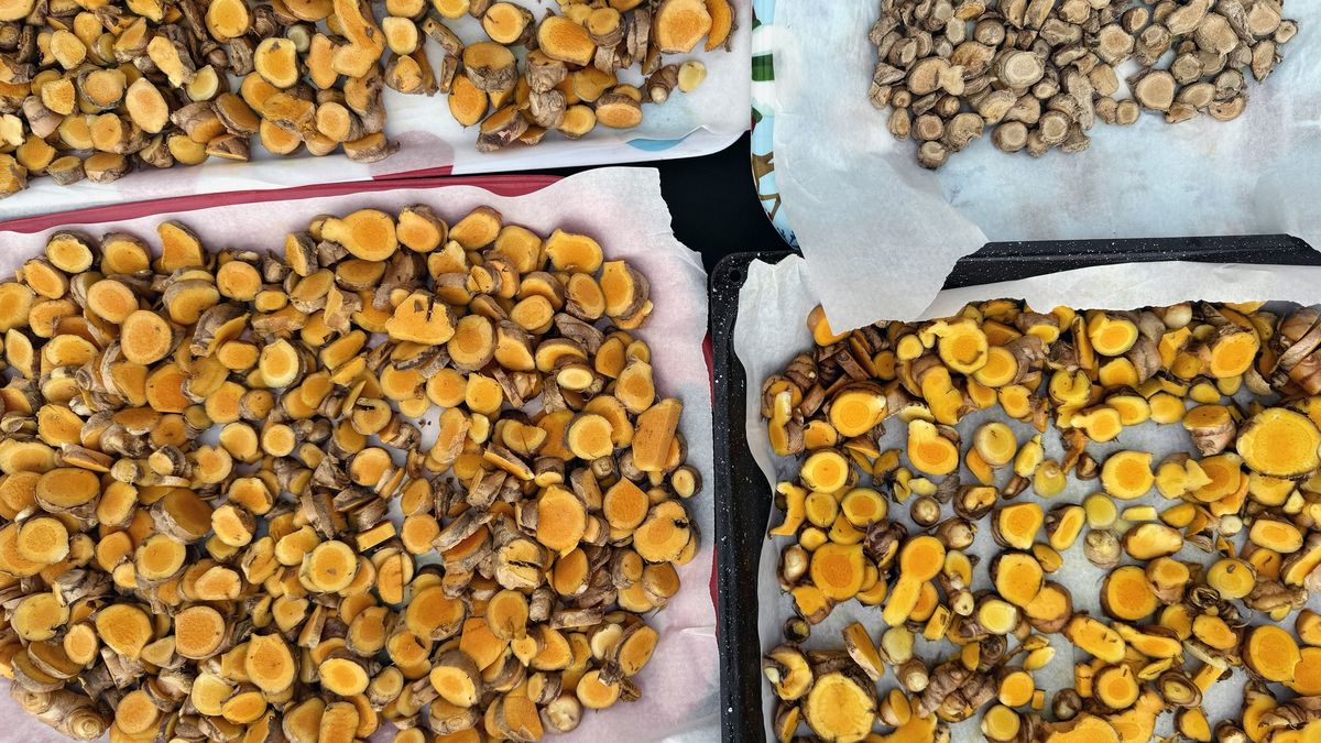 Jakie właściwości ma kurkuma?