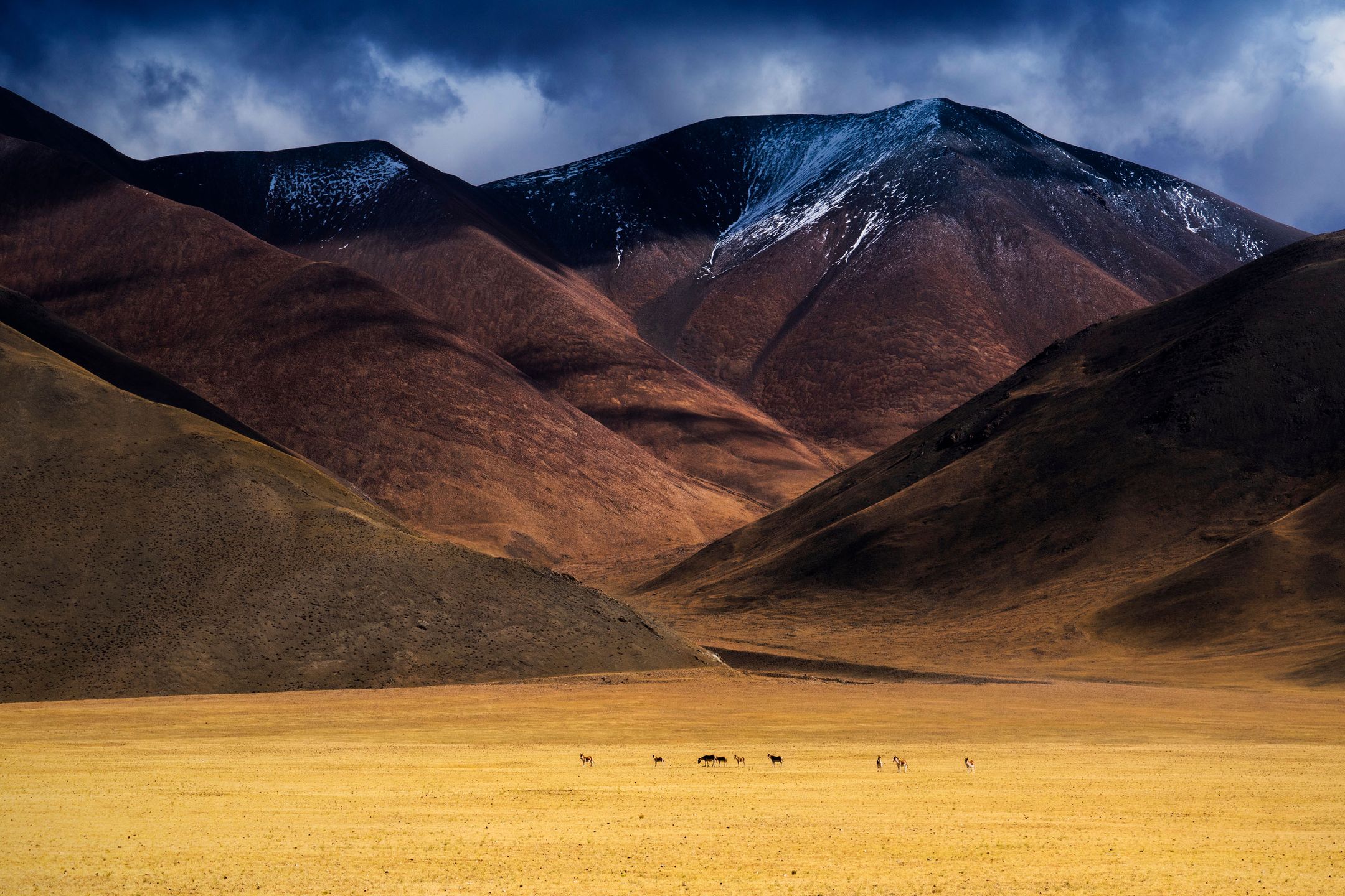 Piotr Leczkowski zwycięzcą polskiej edycji National Awards w Sony World Photography Awards 2019 89