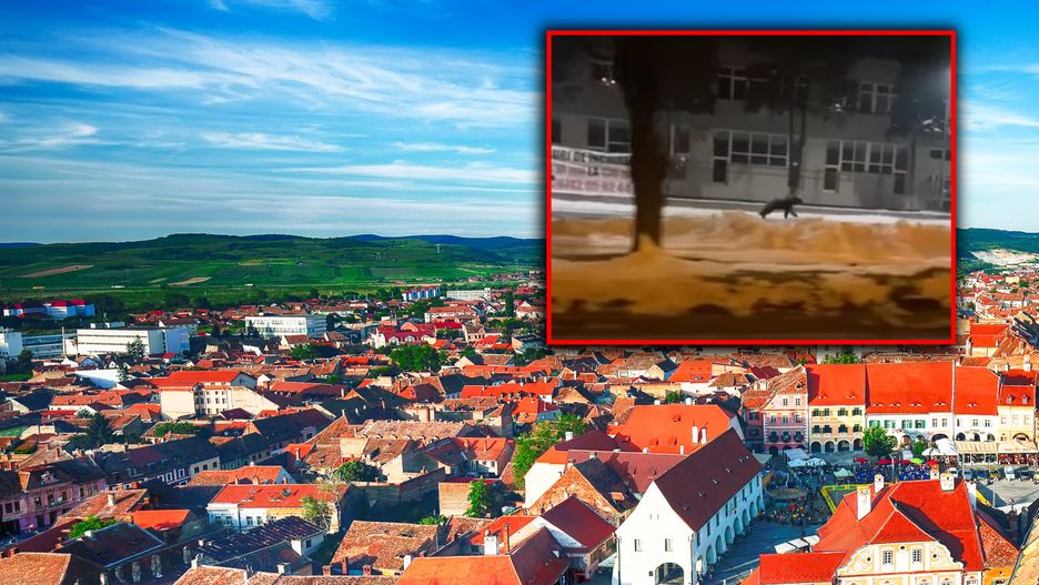 Niedźwiedzia udało się nagrać 