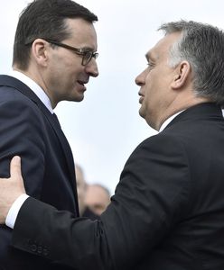 Z Budapesztu wieje chłodem. Nawet PiS musi to wreszcie dostrzec [OPINIA]