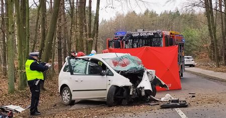 Był reanimowany na miejscu. Potworny wypadek pod Jarocinem