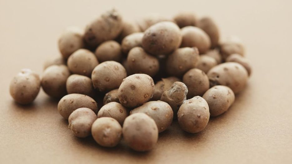 Będzie nowa kategoria ziemniaków w handlu