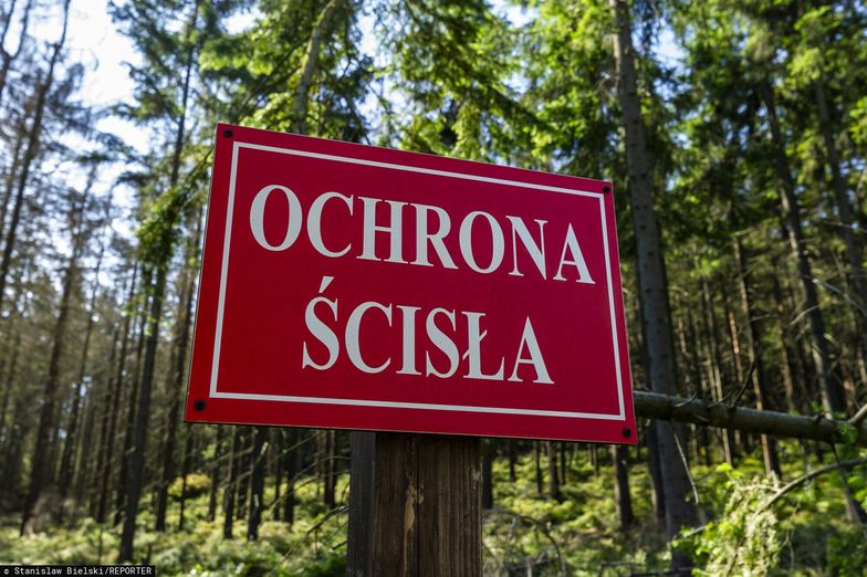 Nowy park narodowy w Polsce w 2024 r. Resort klimatu: pierwszy od 20 lat