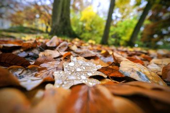 Nadciąga zmiana pogody i duże zaskoczenie