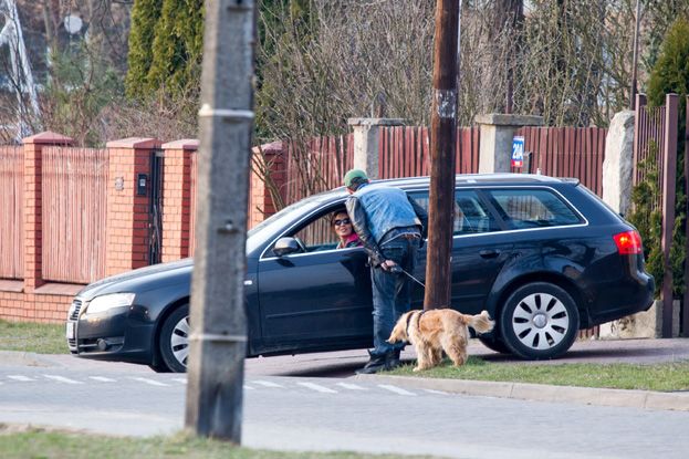 Obraz