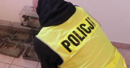 Niepokojące zgłoszenie. Policjanci osłupieli