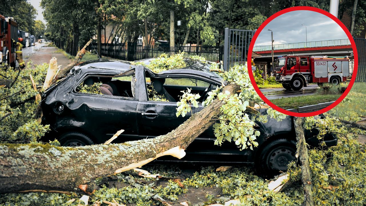 Drzewa łamały się jak zapałki spadały na samochody, drogi i linie energetyczne