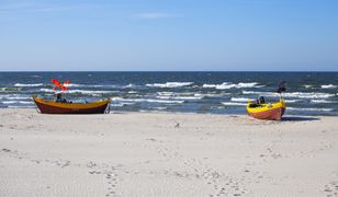 Pomorskie. Niespodziewani goście na plaży w Ustce