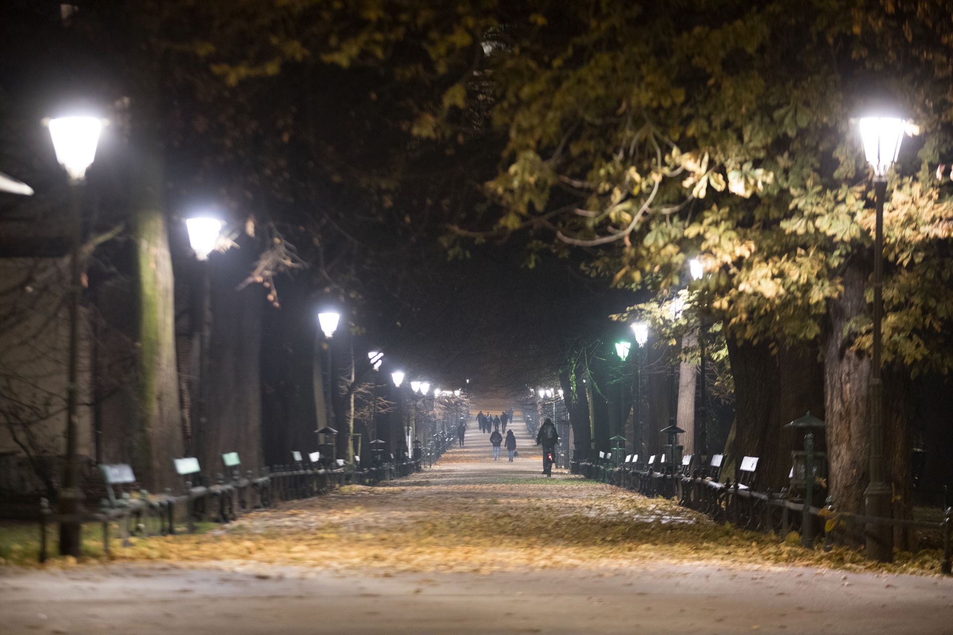 Canon EOS 5D Mark IV - test lustrzanki dla profesjonalistów 232