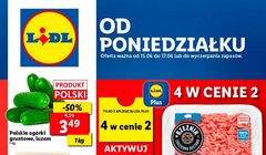 Zmienione gazetki reklamowe Lidla pokryte żelem antybakteryjnym