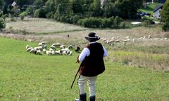 Największe problemy baców. Dla juhasa taka dniówka to już za mało