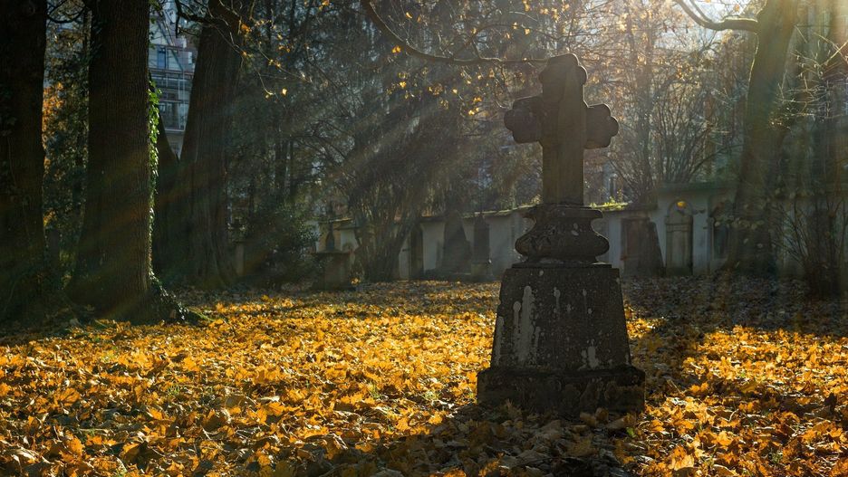 Legnica. Cmentarz niezgodny z prawem. Teren nie należy do miasta