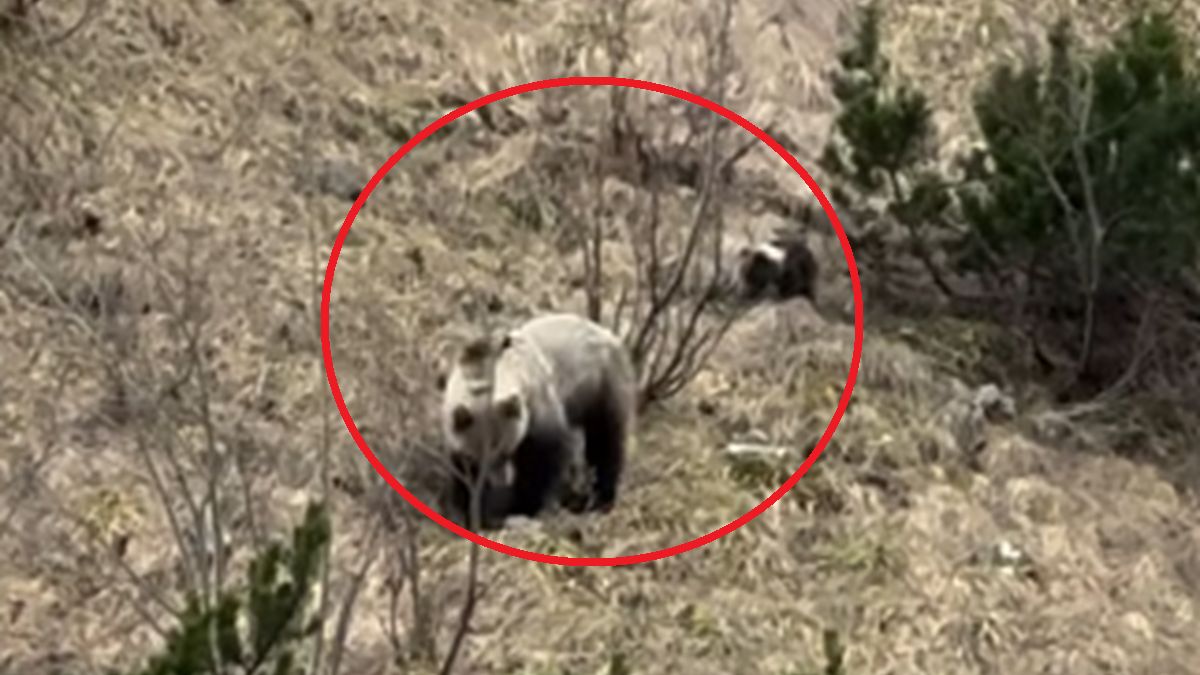 Nagranie z Kondrackiej Przełęczy.