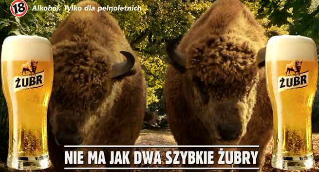 „Dwa szybkie Żubry” w kampanii promującej piwo Żubr (wideo)