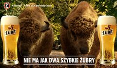 „Dwa szybkie Żubry” w kampanii promującej piwo Żubr (wideo)