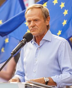 Negatywny wizerunek w TVP jest wart miliony. "Wiadomości" na topie