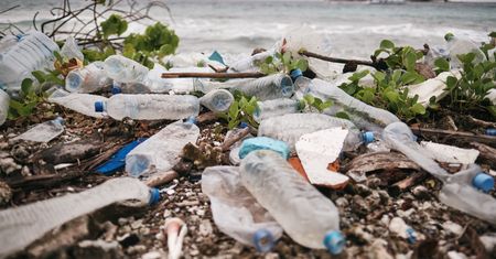 Mikroplastik wykryto w jądrach. Ma wpływ na płodność?