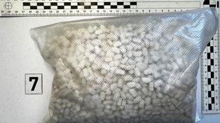 Wielki cios w narkotykową mafię pseudokibiców. Międzynarodowa akcja zakończyła się dziesiątkami zatrzymań