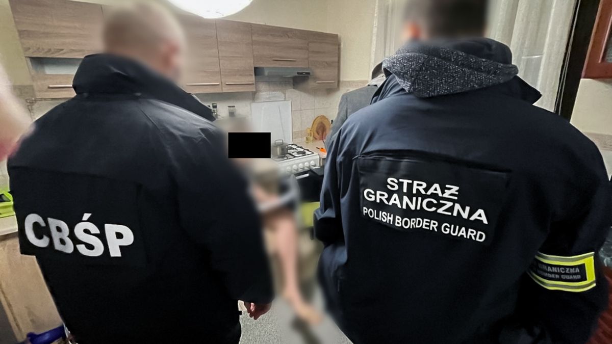 Działania wymierzone w grupę legalizującą pobyt cudzoziemców