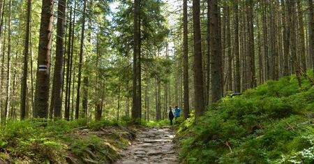 Tatrzański Park Narodowy otwarty. Na niektórych szlakach limity wejść