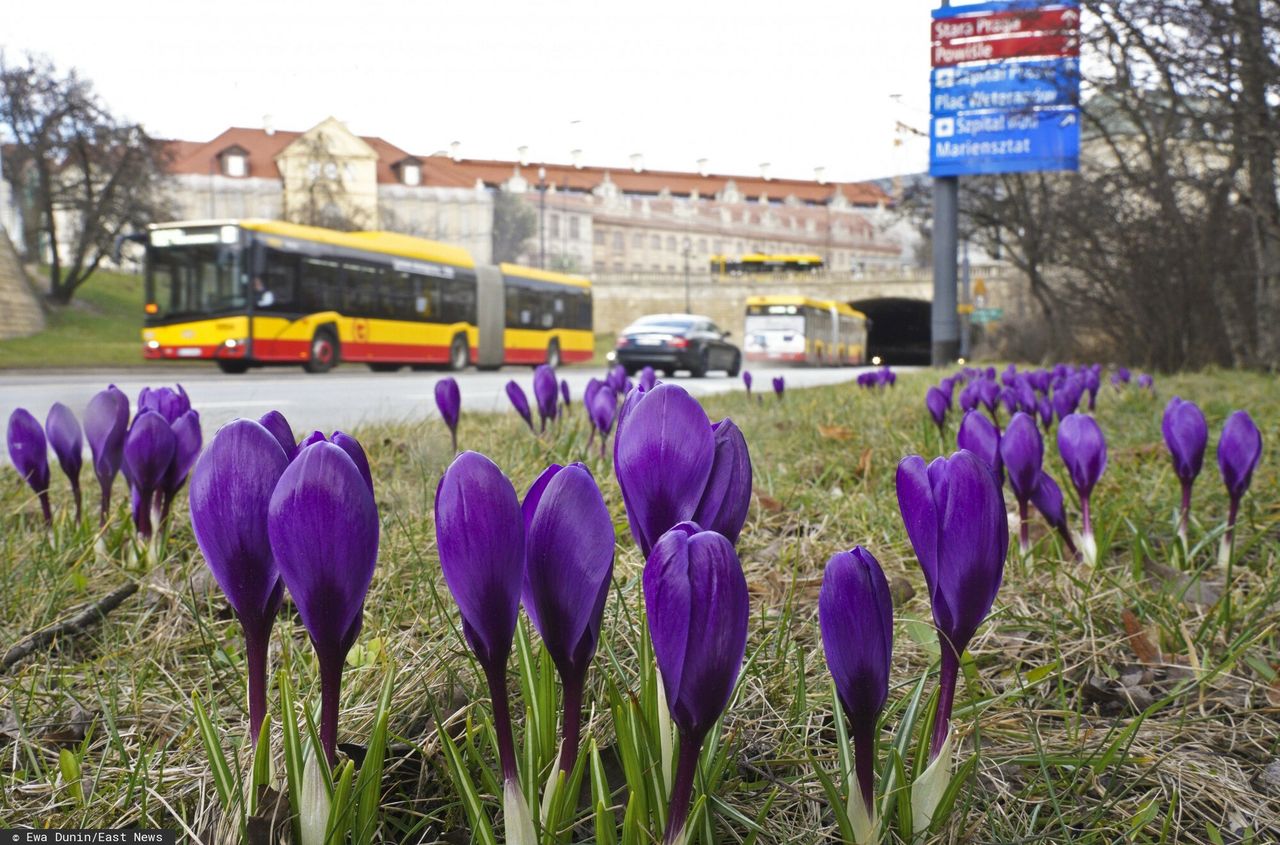 Pogoda w Warszawie w środę 21 kwietnia. Trochę słońca i kolejna burza