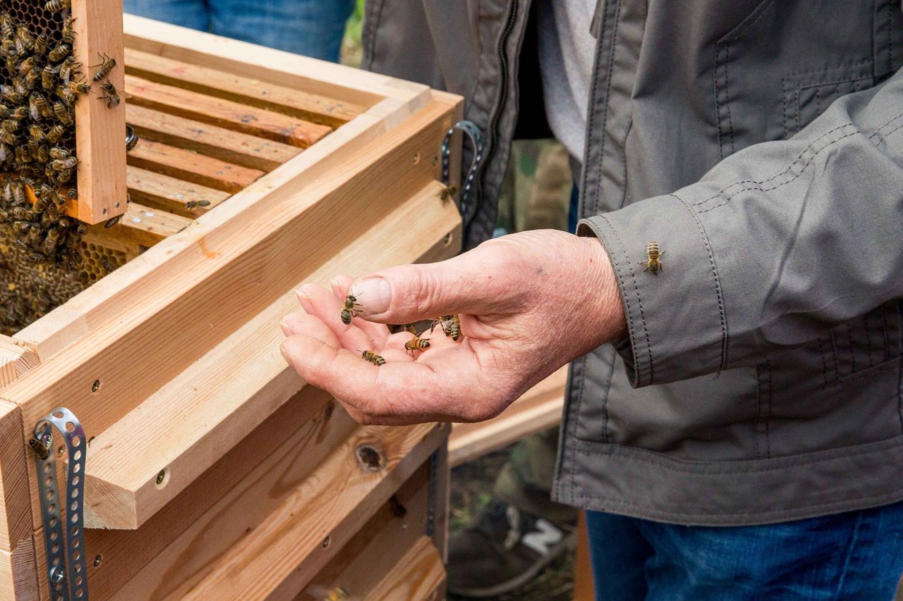 Jesienne formy wsparcia. Sprawdź, gdzie złożyć wniosek