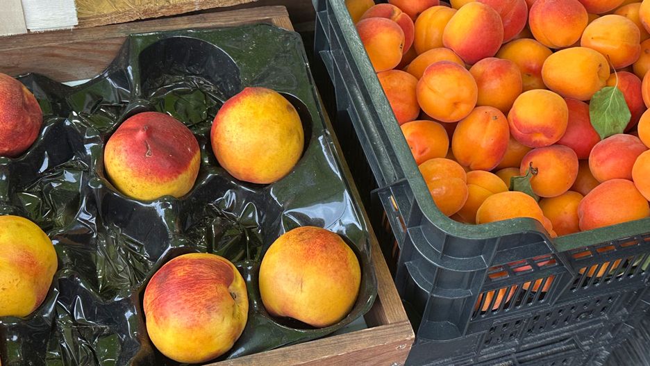 Brzoskwinia a nektarynka. Jakie są między nimi różnice?