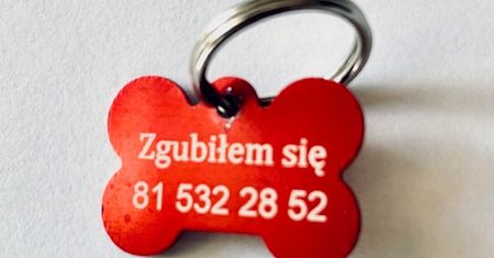 260 darmowych adresatek dla psów w Lublinie. Wraca akcja „Zgubiłem się!”