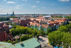 W centrum Szczecina wycięto 200 drzew. "Spodziewaliśmy się tego"