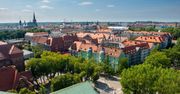 W centrum Szczecina wycięto 200 drzew. "Spodziewaliśmy się tego"