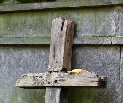 Ścięto trzy krzyże. Policja zatrzymała podejrzanego