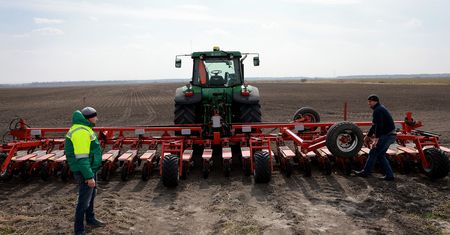 Cios w polskich rolników? Ukraina rozkręca produkcję