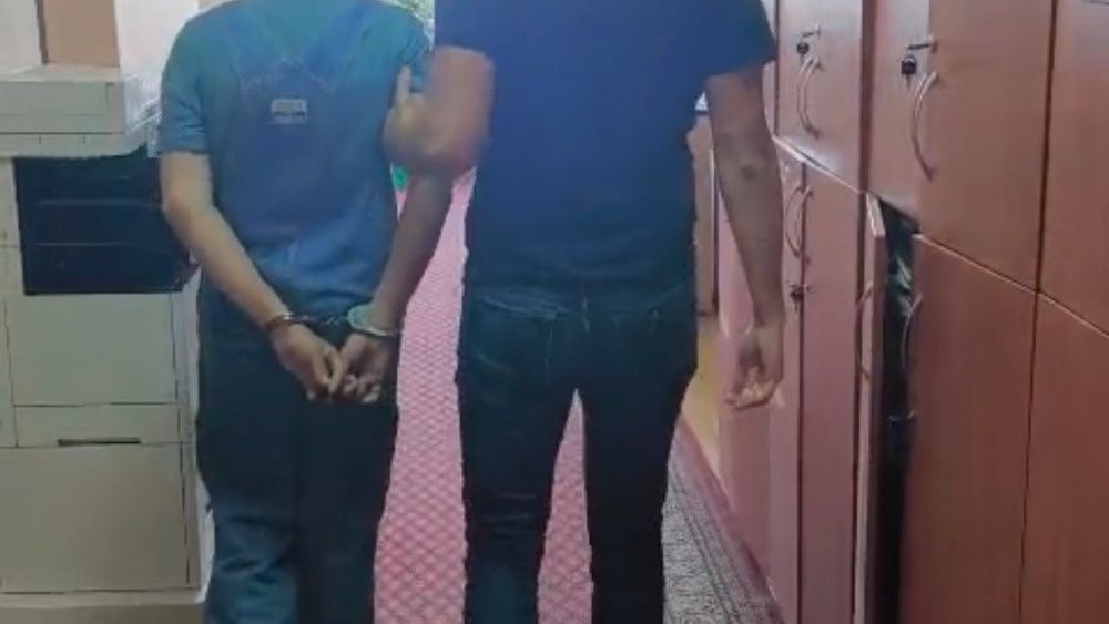 policja