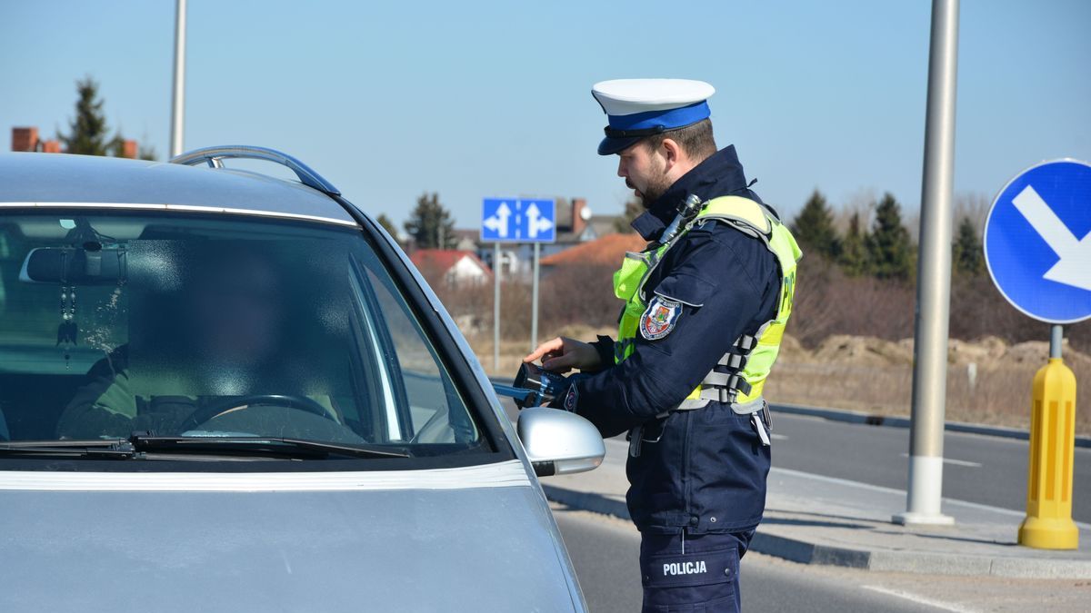 Sami policjanci nie są w stanie zapewnić odpowiedniego stopnia kontroli