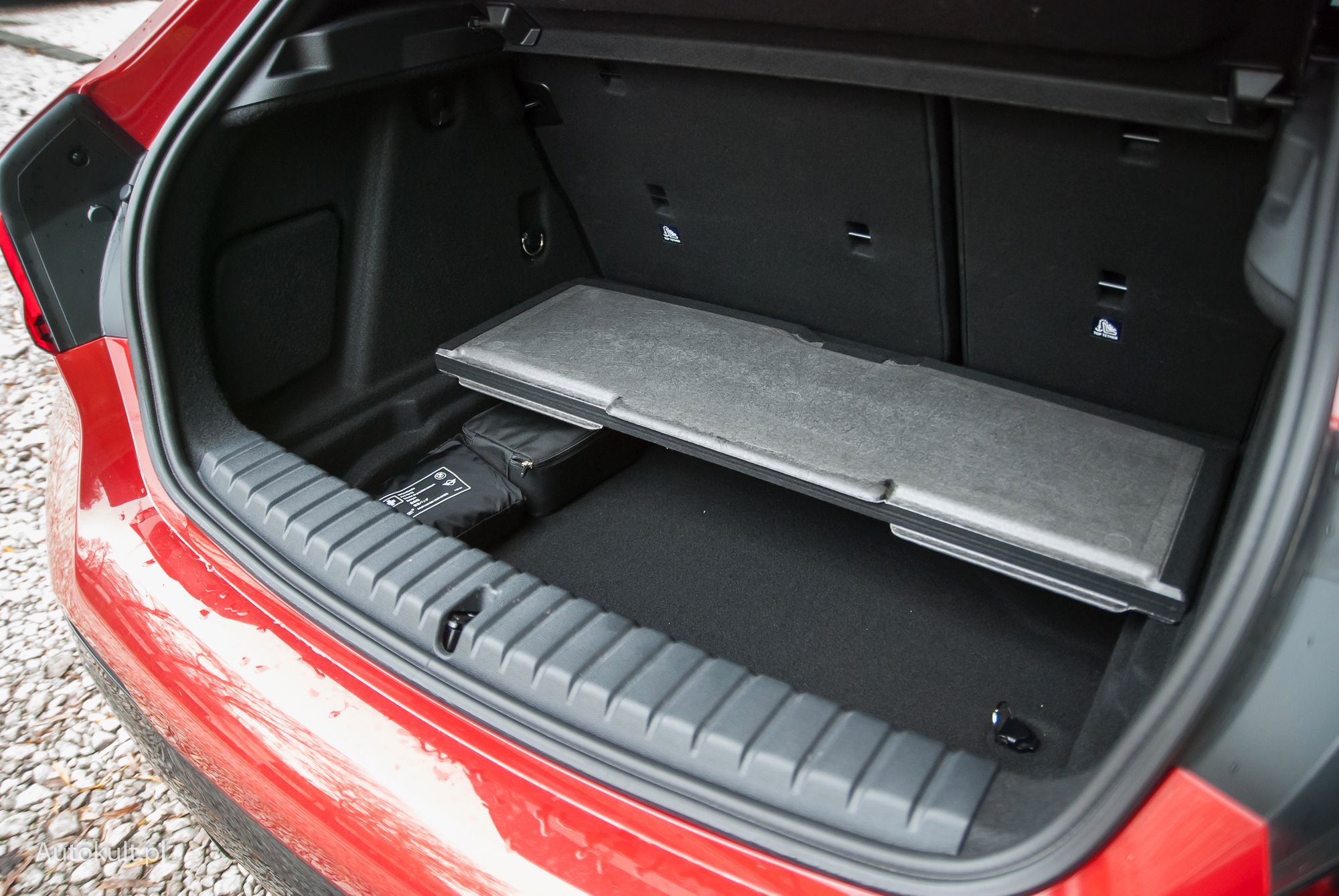 Zdjęcie ilustracyjne do artykułu