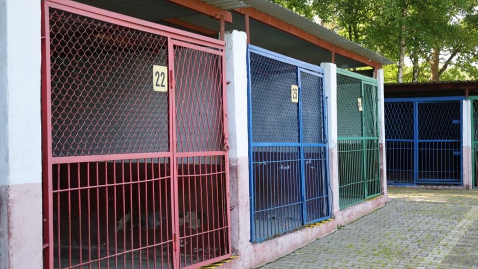 Schronisko dla Bezdomnych Zwierząt (Wojciech Obremski lca.pl)