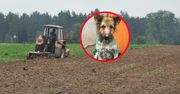 Dostał wyrok za męczenie psa. Był gwiazdą "Rolnicy. Podlasie"