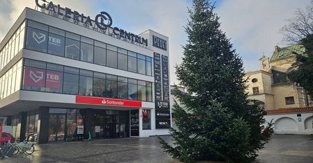 Na placu przed Pedetem stoi już choinka. Do Bożego Narodzenia 28 dni! [ZDJĘCIA]