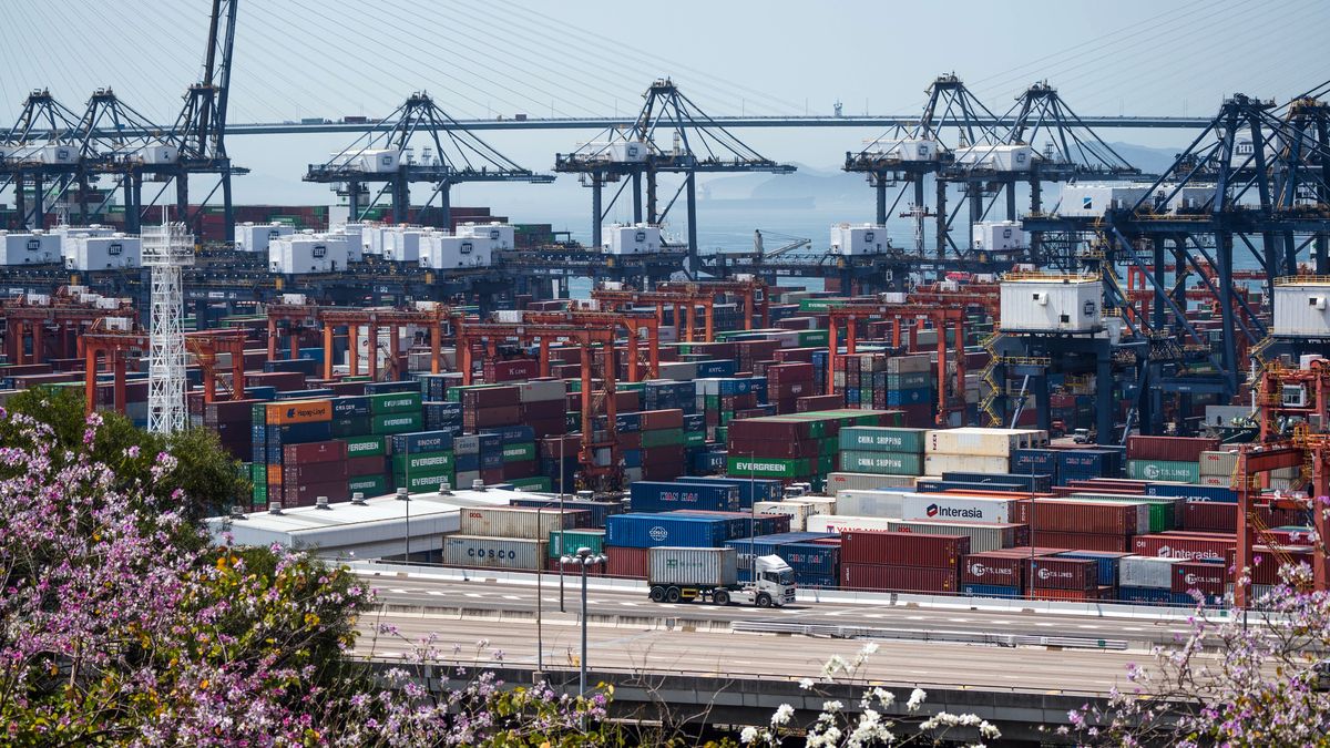 Shipping containers next to gantry cranes operated by Hongkong International Terminals Ltd. at the Kwai Tsing Container Terminals in Hong Kong, China, on Monday, March 14, 2022.  Hong Kong is schedule to release trade figures on March 28. Photographer: Bertha Wang/Bloomberg via Getty Images