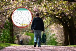 Spokojniejsza pogoda. Miejscami przydadzą się parasole