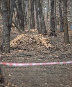 Bielsko-Biała. Będzie kolejne miejsce do wypoczynku i rekreacji