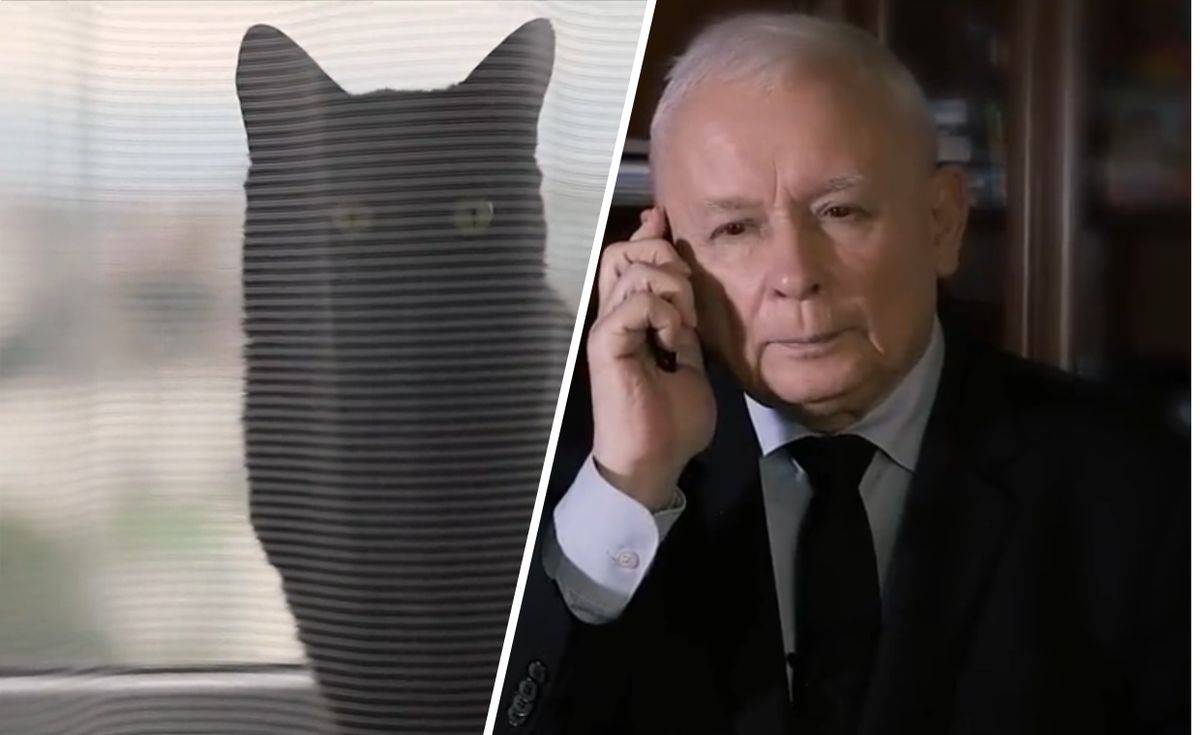 Jarosław Kaczyński i jego kot w najnowszym spocie PiS