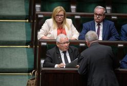 "Piątka dla zwierząt". Sejm będzie głosował (NA ŻYWO)