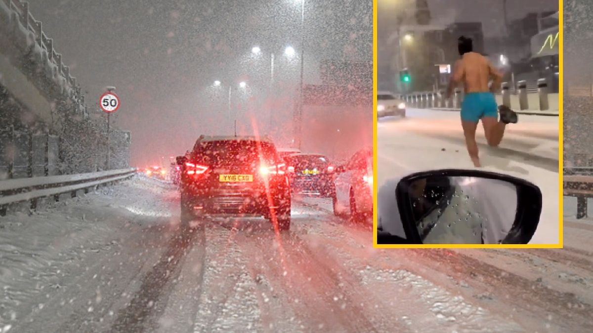 Biegł pod śniegiem przez środek drogi 