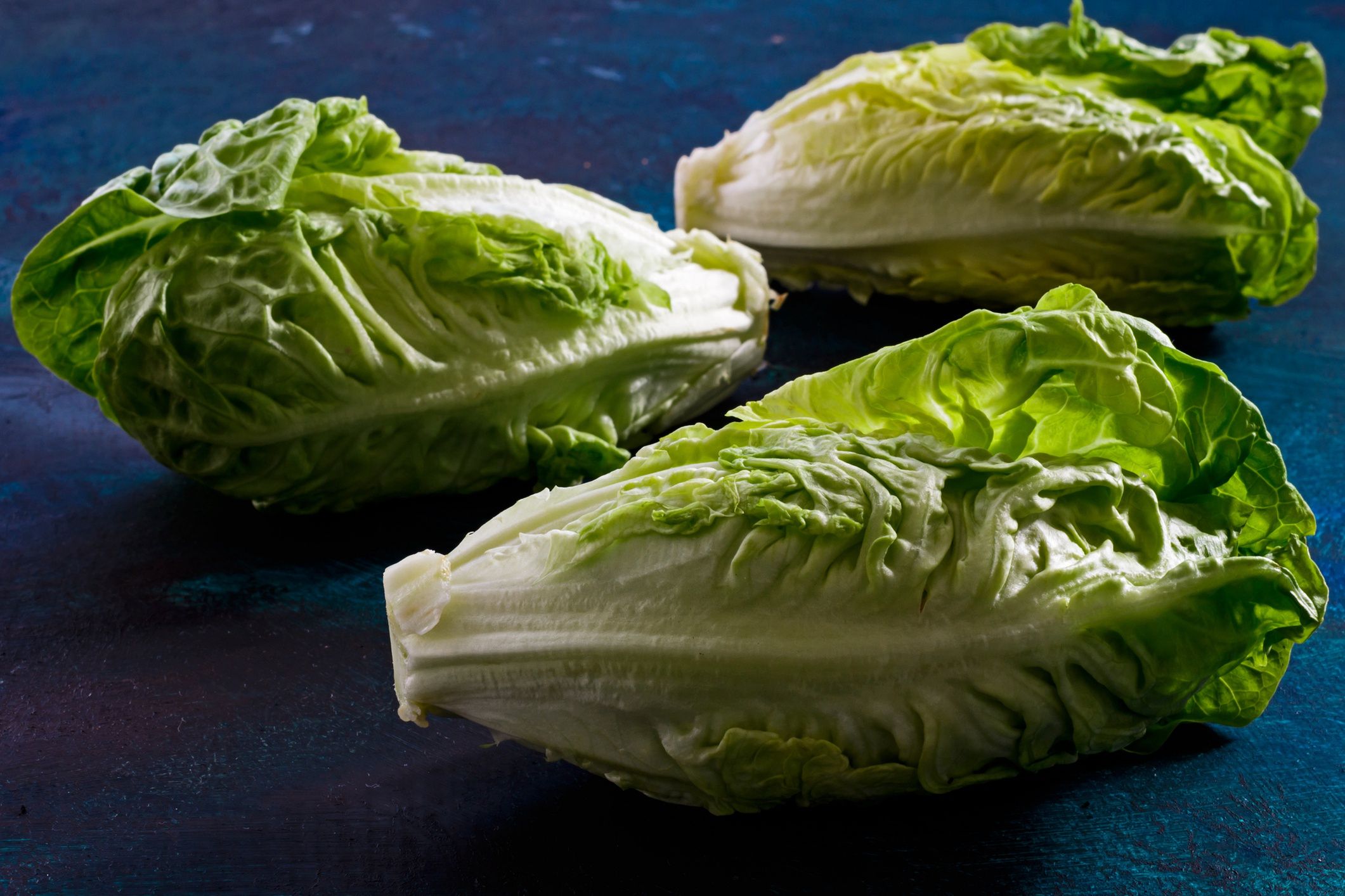 Romaine lettuce
Romaine lettuce on blue backround
Aniko Hobel