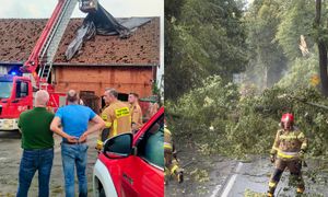 600 hektarów upraw. Dramat. Rolnicy liczą ogromne straty
