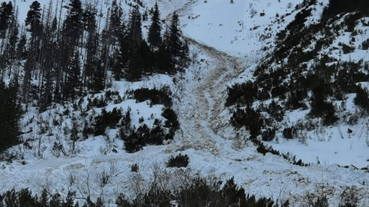 Lawina zeszła w Żlebem Żandarmerii w okolicy drogi do Morskiego Oka